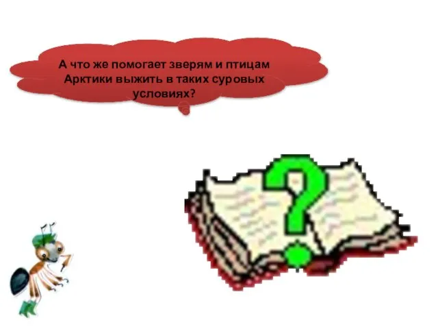 А что же помогает зверям и птицам Арктики выжить в таких суровых условиях?