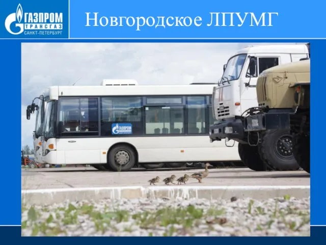 Новгородское ЛПУМГ