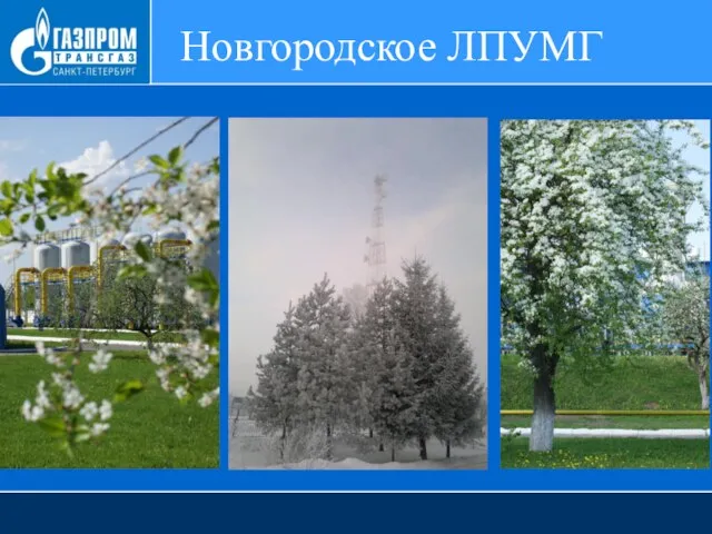 Новгородское ЛПУМГ