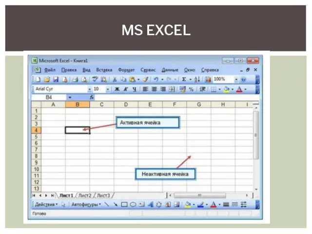 MS EXCEL