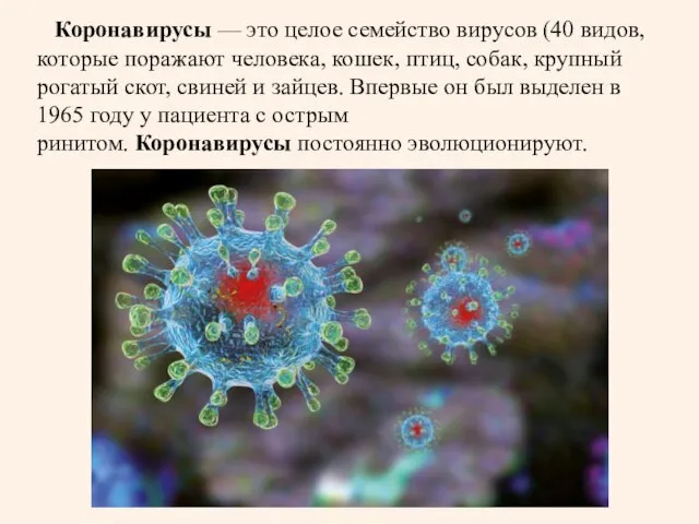 Коронавирусы — это целое семейство вирусов (40 видов, которые поражают человека,