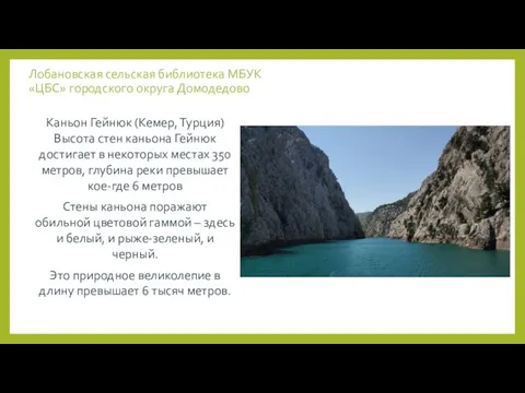 Лобановская сельская библиотека МБУК «ЦБС» городского округа Домодедово Каньон Гейнюк (Кемер,