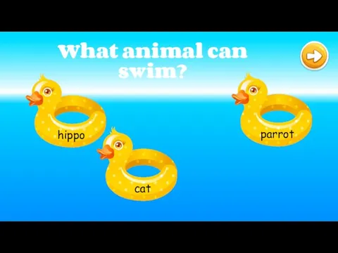 What animal can swim?