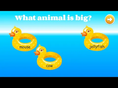 What animal is big?