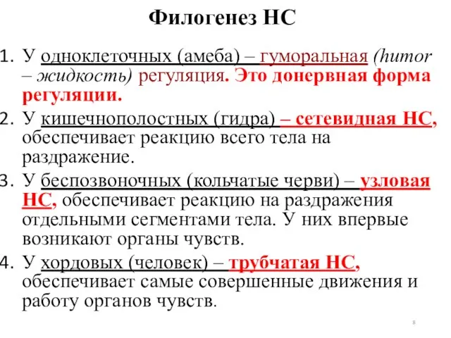 Филогенез НС У одноклеточных (амеба) – гуморальная (humor – жидкость) регуляция.