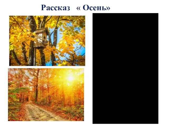 Рассказ « Осень»