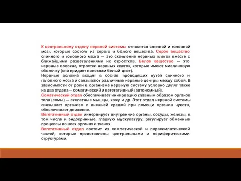 К центральному отделу нервной системы относятся спинной и головной мозг, которые