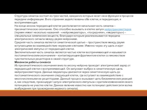 Структура синапса состоит из трех частей, каждая из которых несет свои