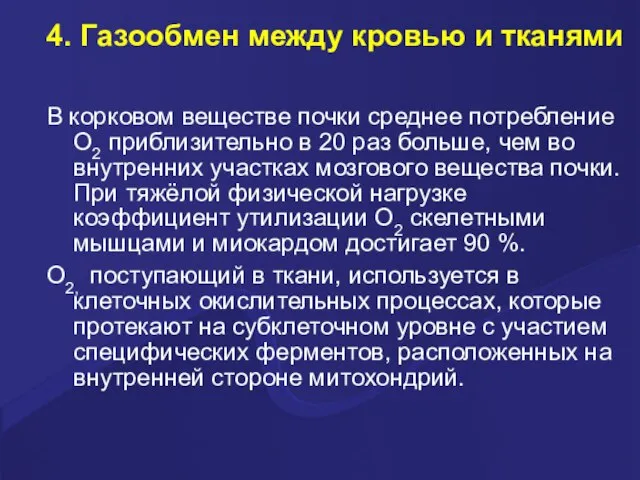 4. Газообмен между кровью и тканями В корковом веществе почки среднее