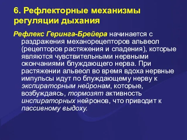 6. Рефлекторные механизмы регуляции дыхания Рефлекс Геринга-Брейера начинается с раздражения механорецепторов