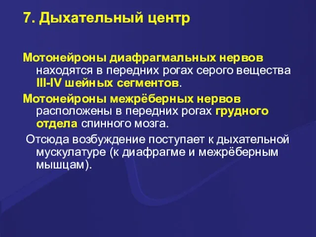 7. Дыхательный центр Мотонейроны диафрагмальных нервов находятся в передних рогах серого