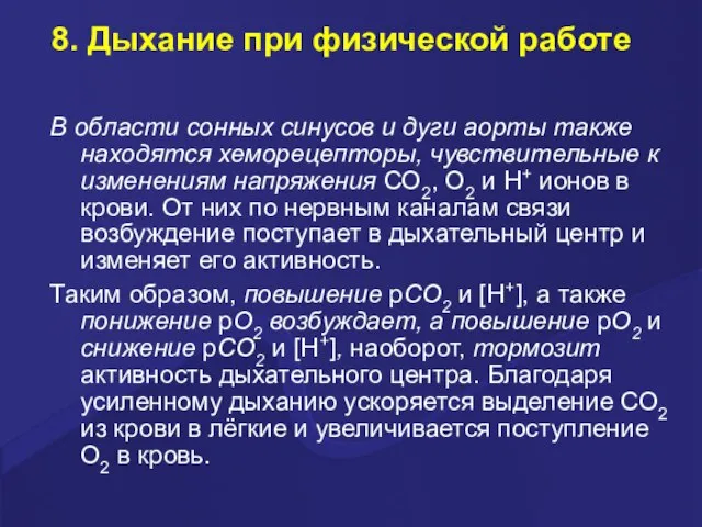 8. Дыхание при физической работе В области сонных синусов и дуги