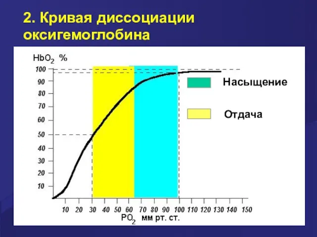 2. Кривая диссоциации оксигемоглобина Насыщение Отдача