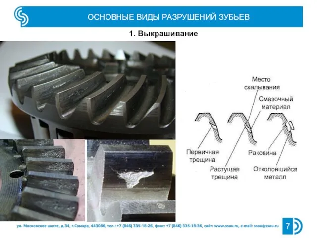 ОСНОВНЫЕ ВИДЫ РАЗРУШЕНИЙ ЗУБЬЕВ 1. Выкрашивание