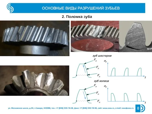 ОСНОВНЫЕ ВИДЫ РАЗРУШЕНИЙ ЗУБЬЕВ 2. Поломка зуба