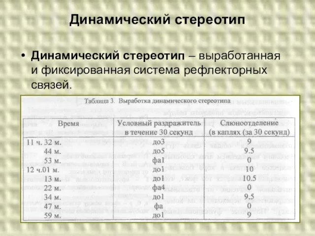 Динамический стереотип Динамический стереотип – выработанная и фиксированная система рефлекторных связей.