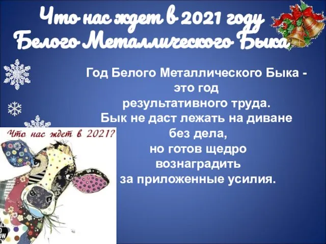 Что нас ждет в 2021 году Белого Металлического Быка Год Белого