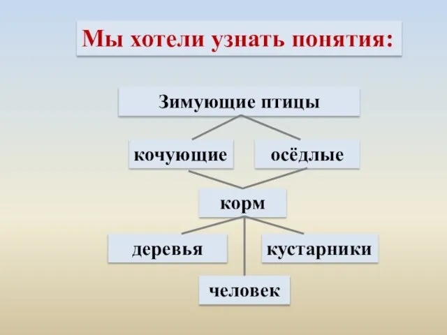 Мы хотели узнать понятия: кочующие осёдлые Зимующие птицы корм деревья кустарники человек