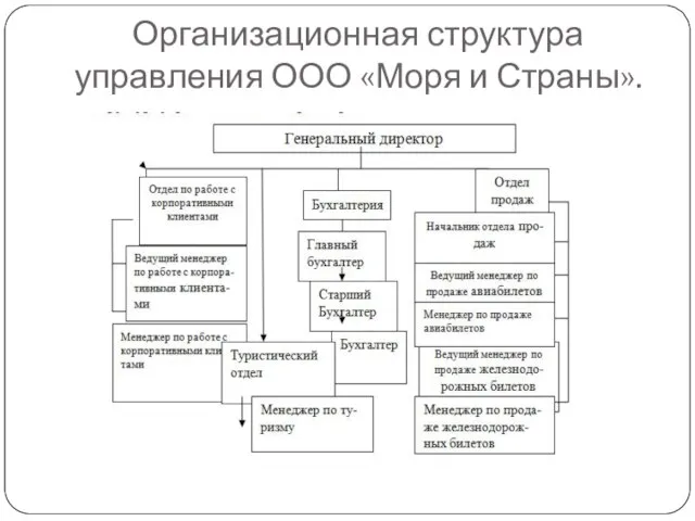 Организационная структура управления ООО «Моря и Страны».