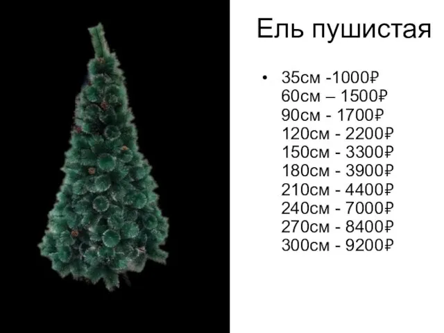 Ель пушистая 35см -1000₽ 60см – 1500₽ 90см - 1700₽ 120см