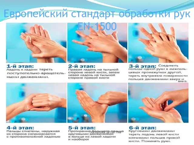 Европейский стандарт обработки рук EN-1500 , включая запястья