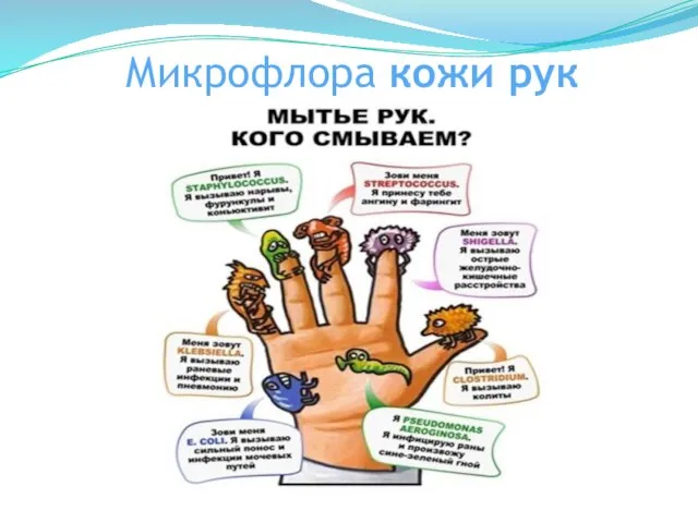 Микрофлора кожи рук