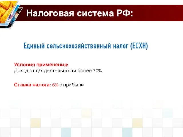 Налоговая система РФ: Условия применения: Доход от с/х деятельности более 70% Ставка налога: 6% с прибыли