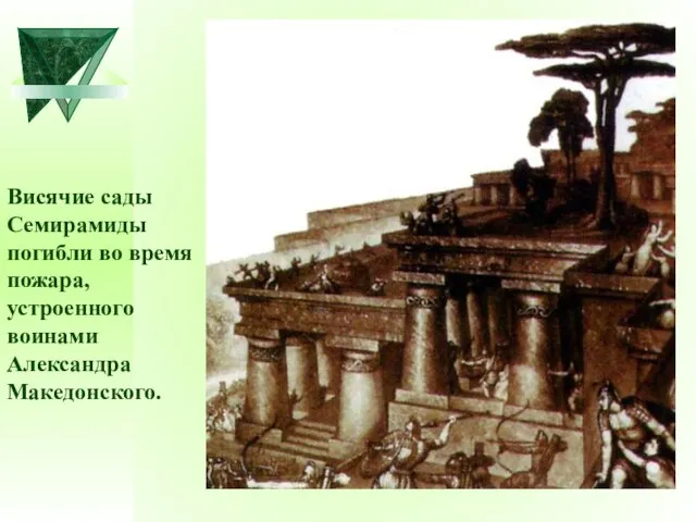 Висячие сады Семирамиды погибли во время пожара, устроенного воинами Александра Македонского.