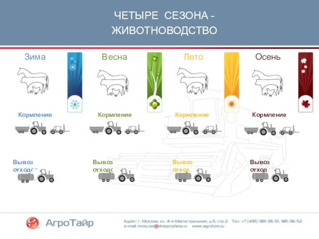 ЧЕТЫРЕ СЕЗОНА - ЖИВОТНОВОДСТВО Зима Лето Весна Осень Кормление Вывоз отходов