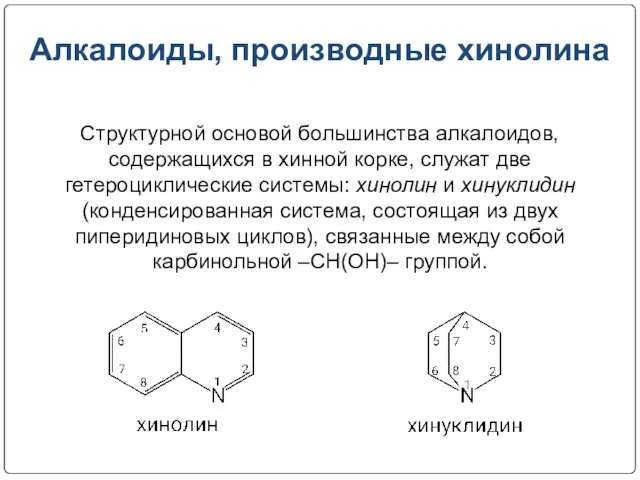 Алкалоиды, производные хинолина Структурной основой большинства алкалоидов, содержащихся в хинной корке,