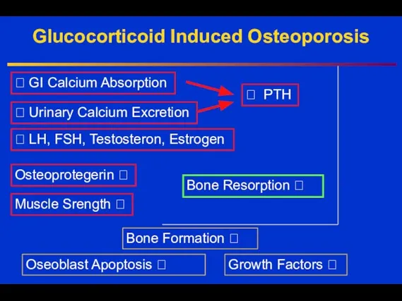 Glucocorticoid Induced Osteoporosis ? GI Calcium Absorption ? Urinary Calcium Excretion