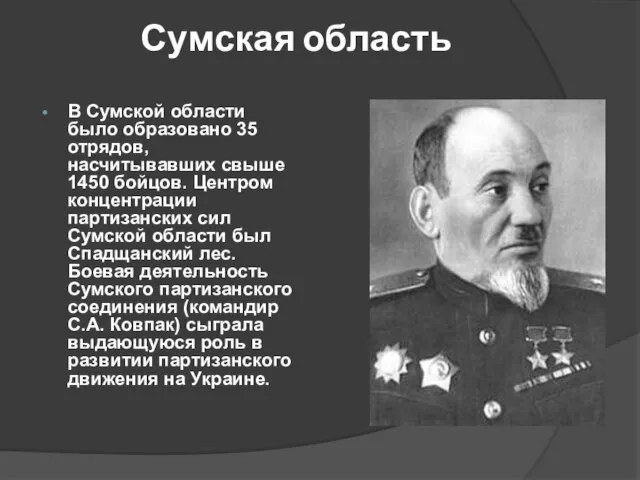 Сумская область В Сумской области было образовано 35 отрядов, насчитывавших свыше