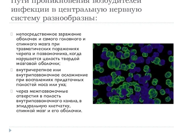 Пути проникновения возбудителей инфекции в центральную нервную систему разнообразны: непосредственное заражение