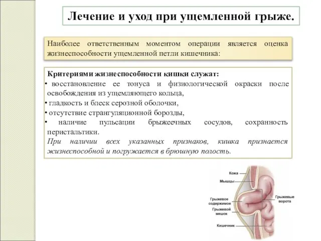 Критериями жизнеспособности кишки служат: восстановление ее тонуса и физиологической окраски после