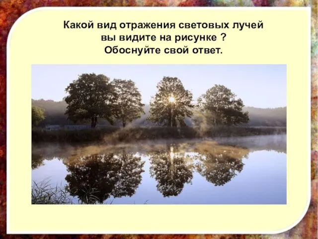 Какой вид отражения световых лучей вы видите на рисунке ? Обоснуйте свой ответ.