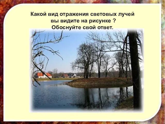 Какой вид отражения световых лучей вы видите на рисунке ? Обоснуйте свой ответ.