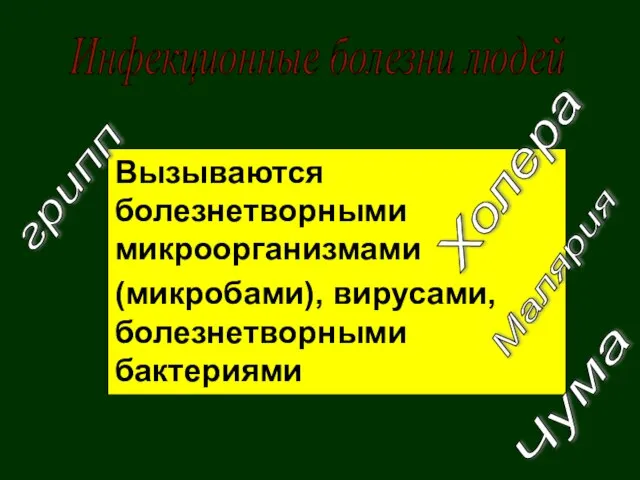 Инфекционные болезни людей Вызываются болезнетворными микроорганизмами (микробами), вирусами, болезнетворными бактериями Холера Чума Малярия грипп