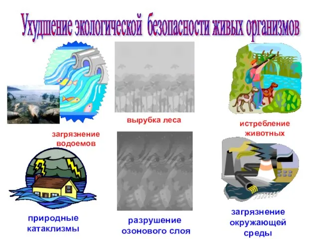 Ухудшение экологической безопасности живых организмов