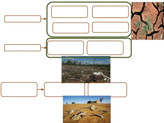 Почвенные Загрязнение почв Эрозия почв Заболачивание Вторичное засоление Биотические Деградация лесов