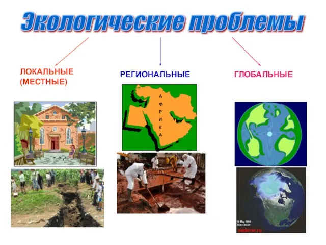 Экологические проблемы ЛОКАЛЬНЫЕ (МЕСТНЫЕ) РЕГИОНАЛЬНЫЕ ГЛОБАЛЬНЫЕ