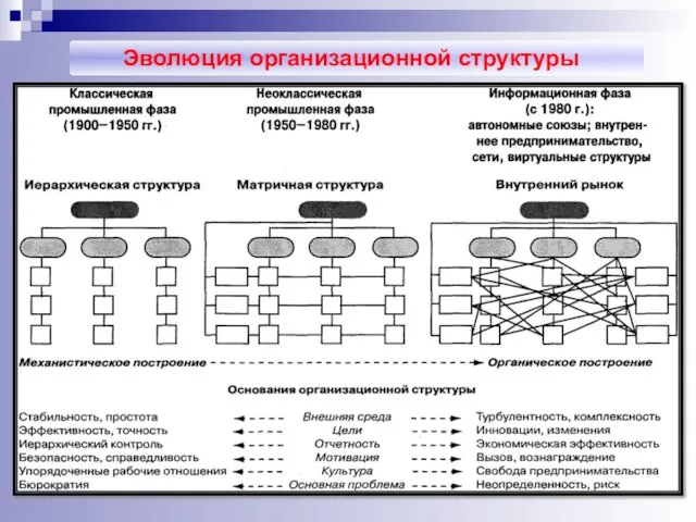 Эволюция организационной структуры