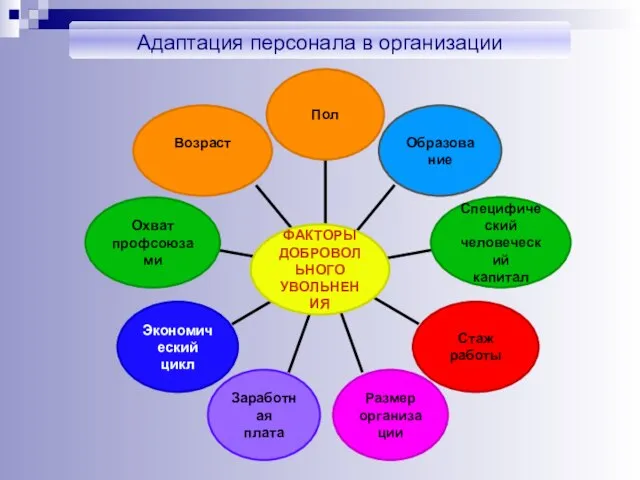 Адаптация персонала в организации