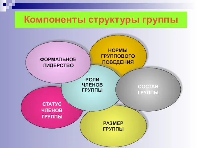 Компоненты структуры группы СТАТУС ЧЛЕНОВ ГРУППЫ НОРМЫ ГРУППОВОГО ПОВЕДЕНИЯ РАЗМЕР ГРУППЫ