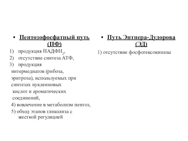 Пентозофосфатный путь (ПФ) продукция НАДФН2, отсутствие синтеза АТФ, продукция интермедиатов (рибоза,