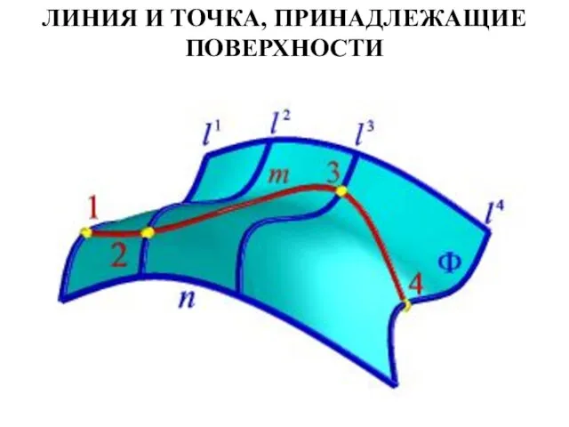 ЛИНИЯ И ТОЧКА, ПРИНАДЛЕЖАЩИЕ ПОВЕРХНОСТИ