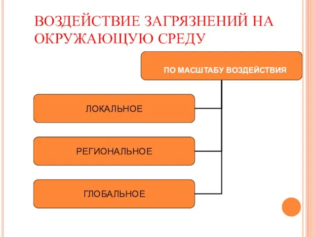 ВОЗДЕЙСТВИЕ ЗАГРЯЗНЕНИЙ НА ОКРУЖАЮЩУЮ СРЕДУ ПО МАСШТАБУ ВОЗДЕЙСТВИЯ