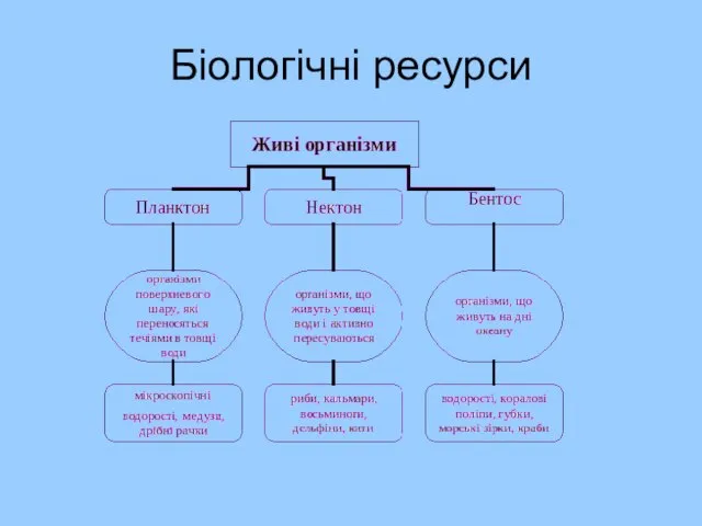 Біологічні ресурси