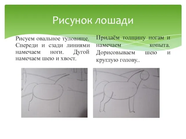 Рисунок лошади Рисуем овальное туловище. Спереди и сзади линиями намечаем ноги.