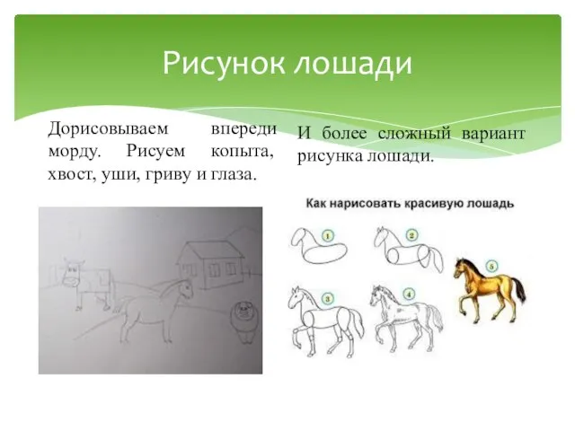 Рисунок лошади Дорисовываем впереди морду. Рисуем копыта, хвост, уши, гриву и