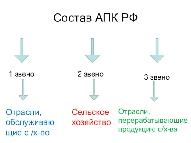 Состав АПК РФ 1 звено 3 звено 2 звено Сельское хозяйство